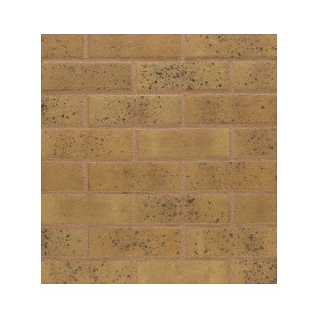 Terca Wienerberger Salcombe Yellow Blend 65mm Wirecut Extruded Buff Light Texture Brick