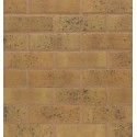 Terca Wienerberger Salcombe Yellow Blend 65mm Wirecut Extruded Buff Light Texture Brick