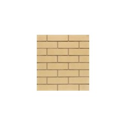 Wienerberger Albatros 54mm Wirecut Extruded Buff Light Texture Clay Brick