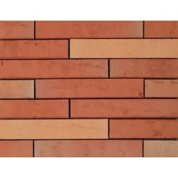 Wienerberger Light Red Multi 48mm Red Light Texture Clay Brick