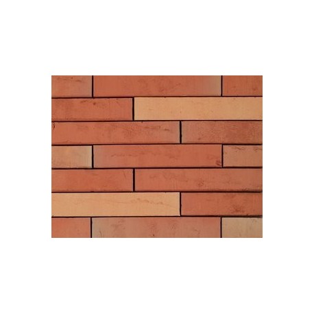 Wienerberger Light Red Multi 48mm Red Light Texture Clay Brick