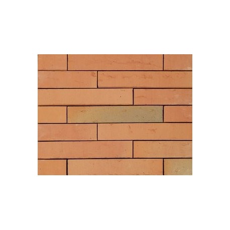 Wienerberger Orange Multi 48mm Red Light Texture Clay Brick