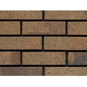 Ibstock Aztec Multi Rustic 65mm Wirecut Extruded Grey Light Texture Brick