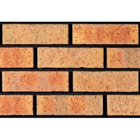 Tyrone Brick Aranmore 65mm Wirecut Extruded Buff Light Texture Brick