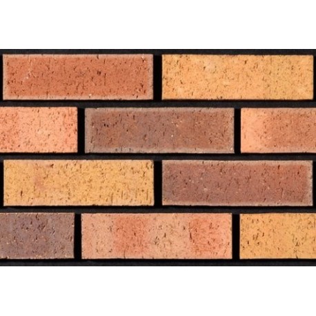 Tyrone Brick Beaufort 65mm Wirecut Extruded Red Light Texture Brick