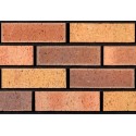 Tyrone Brick Beaufort 65mm Wirecut Extruded Red Light Texture Brick