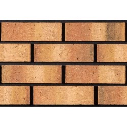 Tyrone Brick Donard 65mm Wirecut Extruded Buff Light Texture Brick