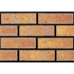 Tyrone Brick Drumbo 65mm Wirecut Extruded Buff Light Texture Brick