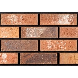 Tyrone Brick Knockbeg 65mm Wirecut Extruded Red Light Texture Brick