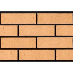 Tyrone Brick Nendrum 65mm Wirecut Extruded Buff Light Texture Brick