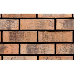 Ibstock Coughton Buff Blend 65mm Wirecut Extruded Buff Light Texture Clay Brick