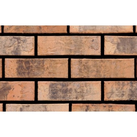 Ibstock Coughton Buff Blend 65mm Wirecut Extruded Buff Light Texture Clay Brick