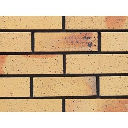 Ibstock Golden Brown Multi Rustic 65mm Wirecut Extruded Buff Light Texture Brick