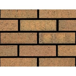 Ibstock Lansdown Multi Gold 65mm Wirecut Extruded Buff Light Texture Clay Brick