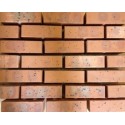 Hanson Lindum Red Mixture 65mm Wirecut Extruded Red Light Texture Clay Brick